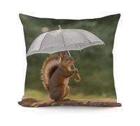 Squirrel Hold A Umbrellas Decorative Pillow Covers, Throw Pillow Covers Soft for All Seasons, Pillowcases for Couch Living Room Sofa Bedroom 18x18 Inch