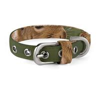 Squirrel Hold A Umbrellas Dog Collar Adjustable Soft and Comfortable Puppy Collars with Metal Buckle Pet Collar for Small Medium Pet