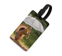 Squirrel Hold A Umbrellas Luggage Tags for Suitcases TSA Approved Personalized Suitcase Tag with Buckle Id Label Address Card Funny Baggage Tag for Women Cute Travel Name Tags for Backpacks Carry-Ons