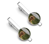 Squirrel Hold A Umbrellas Tie Clip Set Personalized Tie Clips for Men Business Fashion Designs,Tie Bar for Wedding Anniversary Business