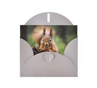 Squirrel holding a pinecone Gray Patterns greeting card 6x4 inches with envelope, covering birthdays, weddings and other occasions