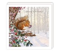 Squirrel holding a Pinecone in Festive Surroundings - Eco-Friendly Premium Charity Pack of 5 Christmas Cards - XJ182 (Squirrel & Pinecone)