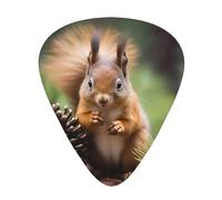Squirrel holding a pinecone Printed pick set - 12 pieces, thin, medium and thick guitar picks, suitable for guitar, bass, electric guitar and ukulele
