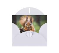 Squirrel holding a pinecone White Patterns greeting card 6x4 inches with envelope, covering birthdays, weddings and other occasions