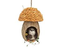 Squirrel In A Mushroom House 15Cm - Brown