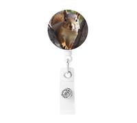 Squirrel in The Tree Badge Reel Retractable Badge Holder with Keychain Id Clips for Badges Lightweight Plastic Name Card Holders for Nurses Office Teacher