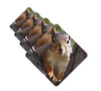 Squirrel in The Tree Car Air Fresheners Cards Set of 4 Pieces Personalized Car Fresheners Gifts for Men Women Auto Aromatherapy Tablets Hanging Scented Cards for Wardrobe Bathroom