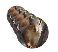 Squirrel in The Tree Car Air Fresheners Cards Set of 4 Pieces Personalized Car Fresheners Gifts for Men Women Auto Aromatherapy Tablets Hanging Scented Cards for Wardrobe Bathroom
