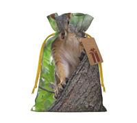 Squirrel In The Tree Christmas Drawstring Sack Gift Bag, Lightweight And Cute In Design