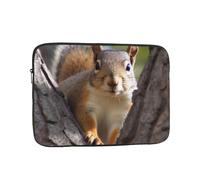 Squirrel in The Tree Laptop Bag 13 inch Business Briefcase Gifts for Men Women Water Resistant Laptop Sleeve Carry On Laptop Case Shockproof Protective Computer Bag Notebook Case
