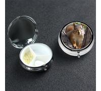 Squirrel in The Tree Pill Box 3 Compartment Pill Case for Purse or Pocket Small Medicine Organizer with Mirror Travel Pillbox Decorative Metal Vitamin Container Unique Gift