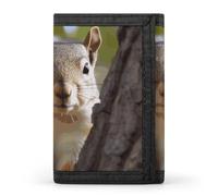 Squirrel in The Tree Wallet Compact Blocking Trifold Wallets with Zipper Minimalist Purse Wallet Credit Card Holder