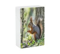 Squirrel in The Woods Cigarette Case Stylish Lightweight Pocket Holder Case for Smoke Waterproof Cigarette Dispenser Cigarettes Accessories for Outdoor Camping Hiking