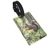 Squirrel in the Woods Luggage Tags for Suitcases, PVC Suitcase Tag with Secure Strap Suitcase Identifier with Privacy Name Card for Travel Bag Tags Personalized Baggage Tag for Women Men