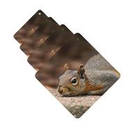 Squirrel Just Laying Car Air Fresheners 4 Pcs Funny Hanging Car Air Fresheners Cute Long Lasting Scented Mirror Hanging Decoration Ornaments Gift For Men Women Square