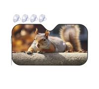 Squirrel Just Laying Car Windshield Sun Shade Foldable Car Sun Shade Front Windshield Sunshade Windshield Cover Reflective Sun Visor Keep Your Vehicle Cool for Most Sedans SUV Truck