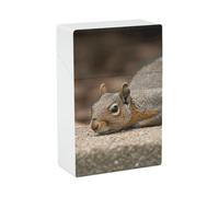 Squirrel Just Laying Cigarette Case 85mm King Size, Crushproof Plastic Cigarette Box Holder for Men Women Cigar Protective Cover Waterproof Cigarettes Holder 20 Capacity