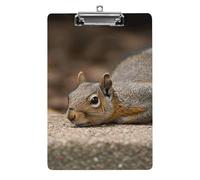Squirrel Just Laying Clipboard, A4 Acrylic Clipboard with Hanging Hole, Ultra-Light Clip Board - Holds 100 Sheets, Shatterproof Document Holder for Office, 12.5" X 8.5"
