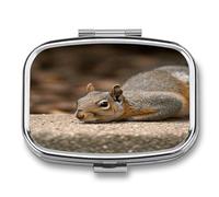 Squirrel Just Laying Cute Travel Pill Organizer Compact and Portable Pill Box,Pill Case for Travel Essentials for Pocket Purse