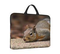 Squirrel Just Laying Laptop Case 14 inch, Shockproof Computer Cover Laptop Sleeve Briefcase Carrying Bag with Handle