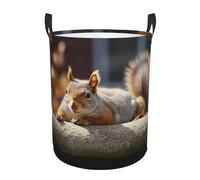 Squirrel Just Laying Laundry Hamper with Handle Waterproof Collapsible Laundry Basket Circular Dirty Clothes Hamper Lightweight Storage Basket for Bathroom Bedroom Car Medium