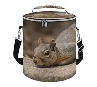 Squirrel Just Laying Lunch Bag, 15L Portable Leakproof Picnic Basket with Shoulder Strap, Insulated Picnic Cooler Bag for Camping, Beach, Hiking & Groceries
