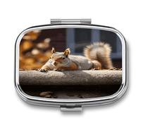 Squirrel Just Laying Pill Box 2 Compartment Small Square Pills Case Portable for Pocket Pill Organizer Travel Metal Pill Holder for Office Home Vitamin Medicine Fish Oil