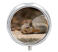 Squirrel Just Laying Travel Pill Box Case 3 Compartment Cute Pill Organizer Metal Pill Holder with Mirror Small Medicine Organizer Daily Pill Container for Purse Pocket Portable Meds Box
