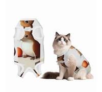 Squirrel King Dog Surgery Suit Recovery Suit, 100% Cotton Breathable Full Body Dog & Cat Surgical Suit with Cute Prints, Alternative to Cone for Spay Neuter Wound Care, Male & Female Pets Large