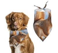 Squirrel on Branch Dog Bandanas for Feeding Grooming, Triangle Pet Bibs Washable Pets Scarf for Cats & Dogs