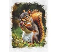 Squirrel Paint by Numbers animal Paint by Numbers for Children Beginners, DIY Crafts for Adults Paint by Numbers Canvas, Oil Painting with Brushes and Acrylic Pigmen, Wall Art Decor Gifts 40x50cm