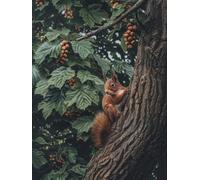 Squirrel Paint by Numbers for Adults with Frame, Large Paint by Number Canvas Kits, DIY Color Oil Painting Acrylic Paints with Brushes, Hobbies for Adults Women, Home Wall Decor Gifts 70x100cm J8-243