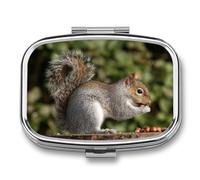 Squirrel Pill Organizer 2 Compartments Small Pill Box Pocket Wallet Portable Travel Pill Case Metal Medicine Organizer Daily Container for