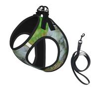 Squirrel Printing Puppy Summer Vest Harness With Reflective,Dog Accessories For Small Medium Large Dogs And Cats