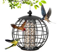 Squirrel-Proof Bird Feeder Metal Caged Seed Feeder for Outdoor Hanging