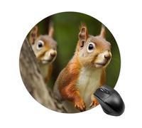 Squirrel Round Mouse Pad Smooth Glide Gaming Mousepad Extra Density Portable Comfortable Mouse Mat for Desk, Home, Office 7.8x7.8 Inches