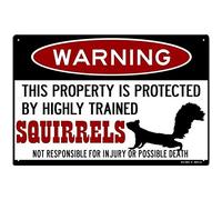 Squirrel Sign,Funny Metal Signs,Protected by Squirrels,Squirrels Warning Sign,Pet Squirrel,Beware of Sign Tin 8 X 6 Inches