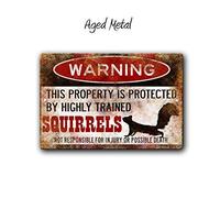 Squirrel Sign,Funny Metal Signs,Protected Squirrels,Squirrels Warning Sign,Pet Squirrel,Beware Squirrel Sign Tin sign 8x12 inches
