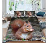 Squirrel Single Duvet Cover Set Animal Print Bedding Sets 3D Print Ultra Soft Microfiber Quilt Cover 150 x 200 cm Comforter Covers with Zippe and 2 Pillowcases E-1047