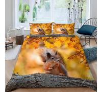 Squirrel Single Duvet Cover Sets Autumn Landscape Bedding Single Bed Set 3D Print Ultra Soft Microfiber Quilt Cover 155 x 220 with Zipper Closure and 2 Pillowcases G-3098