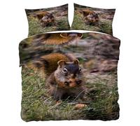 Squirrel Single Size Duvet Cover Sets Cute animals Bedding Set, Soft and Comfortable Microfiber Quilt Cover and 2 Pillowcases 50×75, for Room Decor HF708