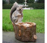Squirrel Sitting On Log Bird Feeder
