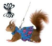 Squirrel Skirt Harness Leash Set Ferret Vest Adjustable Traction Rope Strap Cute Floral Clothes for Small Kitten Animal Dwarf Chinchilla, Guinea Pig, Fancy Rat (Blue,M)
