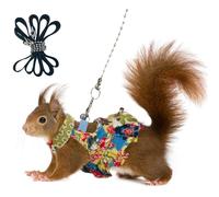 Squirrel Skirt Harness Leash Set Ferret Vest Adjustable Traction Rope Strap Cute Floral Clothes for Small Kitten Animal Dwarf Chinchilla, Guinea Pig, Fancy Rat (Floral,L)