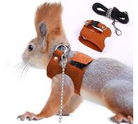 Squirrel Traction Rope Strap Anti-Biting Chain Rope, Adjustable Vest, Small Animal Walking Harness with Lead Leash, Hamster Gerbil Rat Mouse Ferret Chinchilla Small Animal Walking Leash