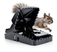 Squirrel Trap (2 Pack) - Consistent & Humane Kill Every Time with no Failures - Powerful Spring - 5" Large Opening - 96% Instant Kill - for Attic, Garden, Forest & More - Reusable - Easy Setup