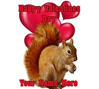 squirrel tv270 Fun Cute Valentine's Day Card A5 Personalised Greeting Card