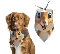 SquirrelPet Scarf Dog Bandana for Small Medium Large Exquisite Unique Cat Dogs Kerchief Premium Fabric Cute Triangle Cat Dogs Bibs Scarf