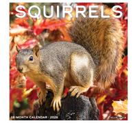 Squirrels 2026 Wall Calendar
