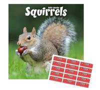 Squirrels Calendar 2026 | Square Wall Calendar | 16 Month | September 2025 - December 2026 | Calendar with Free Organisational Stickers
